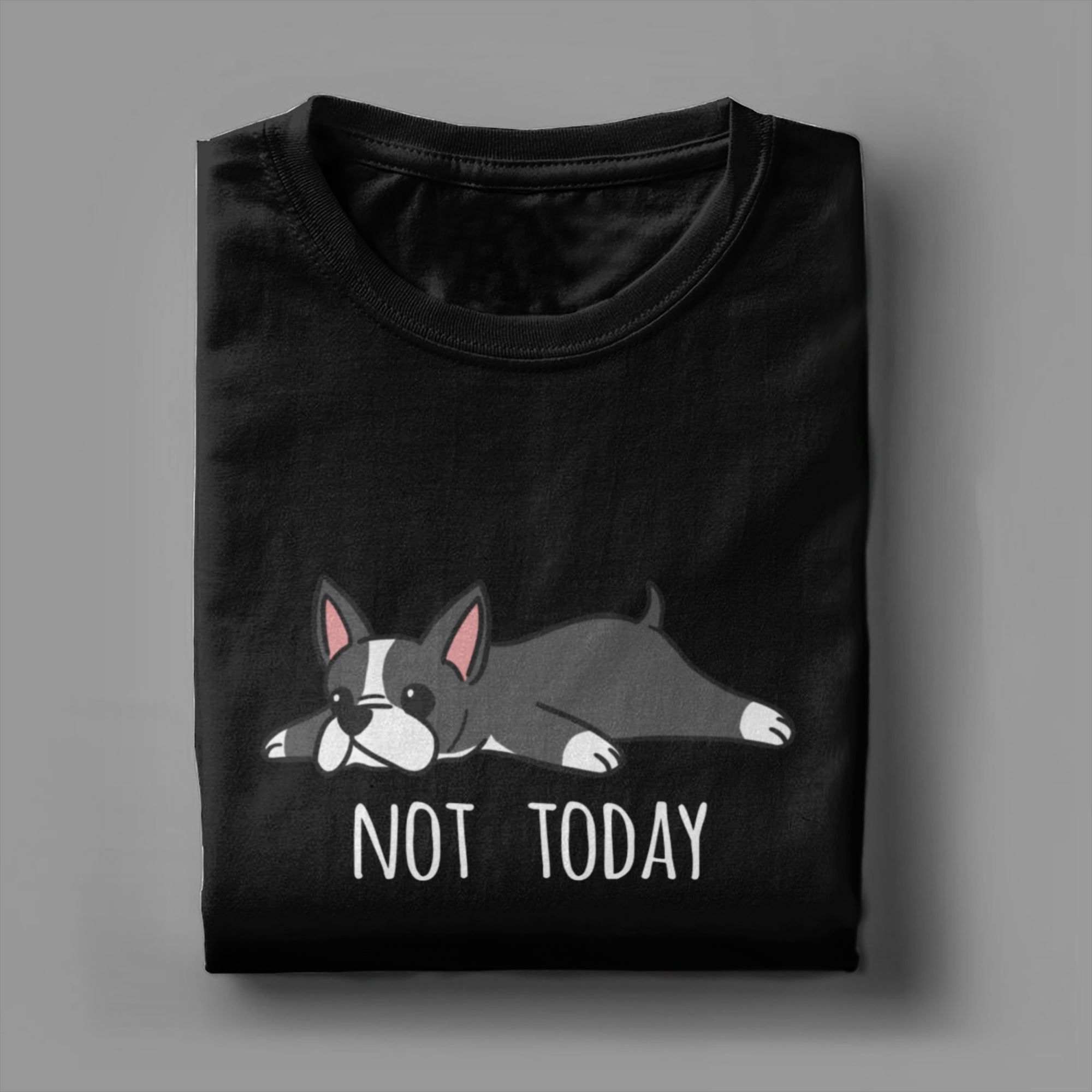 재미있는 Not Today 보스턴 테리어 개 남성 티셔 - Summer Clothing Ideas Men 리뷰 및 가격